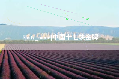 北海中国十七块金牌