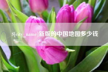 北海新版的中国地图多少钱