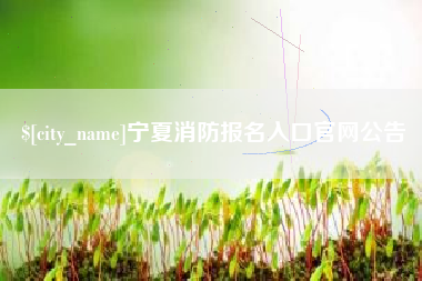 北海宁夏消防报名入口官网公告