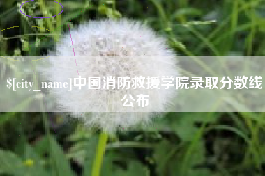 北海中国消防救援学院录取分数线公布