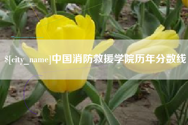 北海中国消防救援学院历年分数线