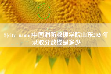 北海中国消防救援学院山东2020年录取分数线是多少