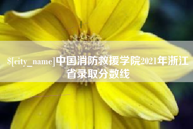 北海中国消防救援学院2021年浙江省录取分数线