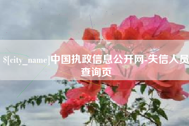 北海中国执政信息公开网-失信人员查询页