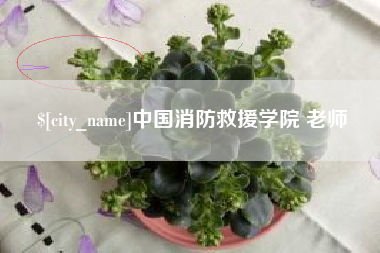 北海中国消防救援学院 老师