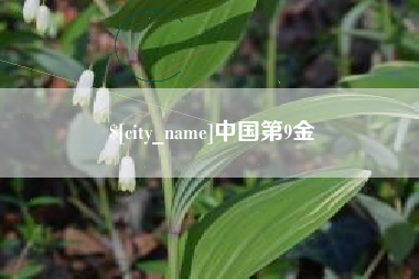 北海中国第9金