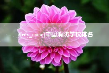 北海中国消防学校排名
