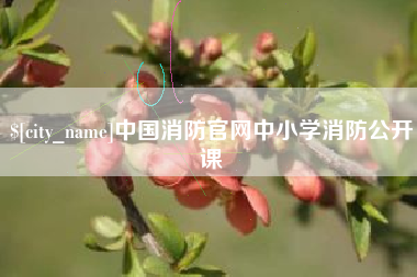 北海中国消防官网中小学消防公开课