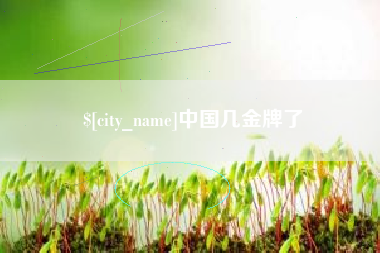 北海中国几金牌了