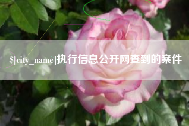 北海执行信息公开网查到的案件