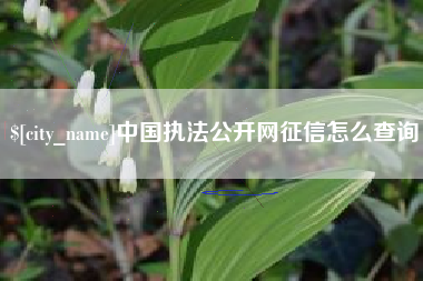 北海中国执法公开网征信怎么查询