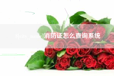 北海消防证怎么查询系统