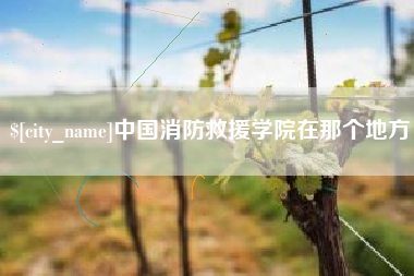北海中国消防救援学院在那个地方