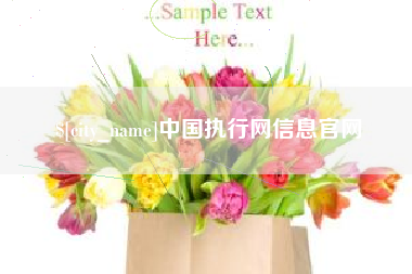 北海中国执行网信息官网