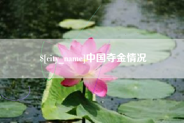 北海中国夺金情况