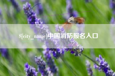北海中国消防报名入口