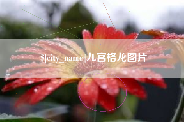 北海九宫格龙图片
