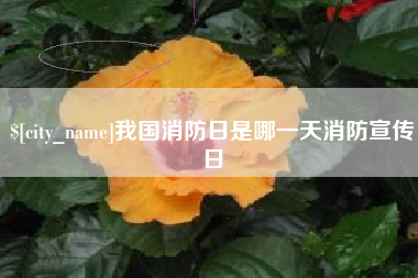 北海我国消防日是哪一天消防宣传日