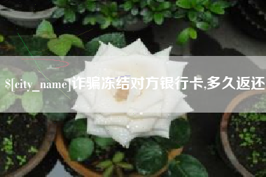 北海诈骗冻结对方银行卡,多久返还