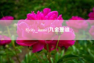 北海九金是谁
