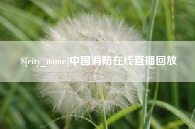 北海中国消防在线直播回放