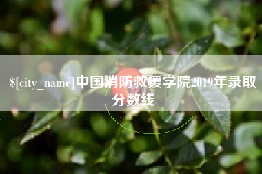 北海中国消防救援学院2019年录取分数线