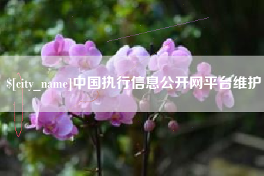 北海中国执行信息公开网平台维护