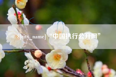 北海“中国执行公开网”