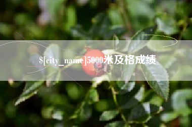 北海5000米及格成绩