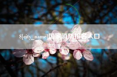 北海国家消防报名入口