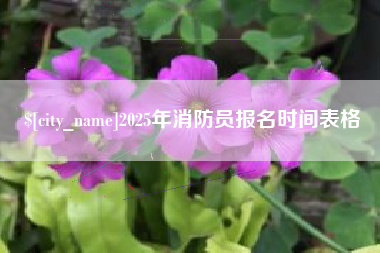北海2025年消防员报名时间表格