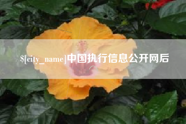 北海中国执行信息公开网后