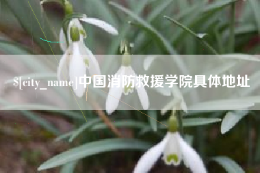 北海中国消防救援学院具体地址