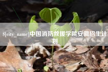 北海中国消防救援学院安徽招生计划
