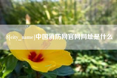 北海中国消防网官网网址是什么