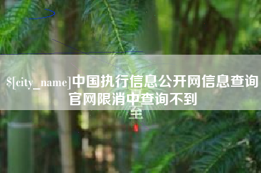 北海中国执行信息公开网信息查询官网限消中查询不到