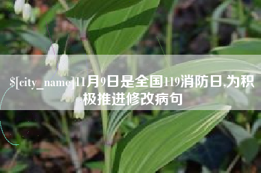 北海11月9日是全国119消防日,为积极推进修改病句