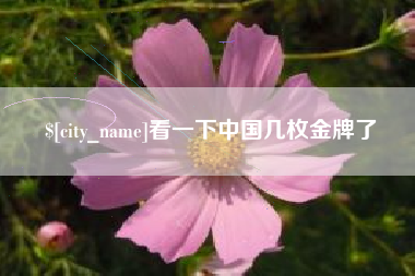 北海看一下中国几枚金牌了