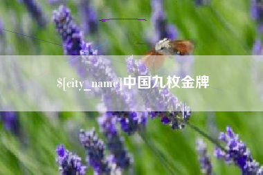 北海中国九枚金牌
