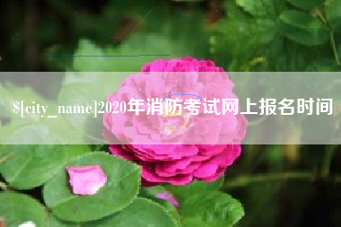 北海2020年消防考试网上报名时间