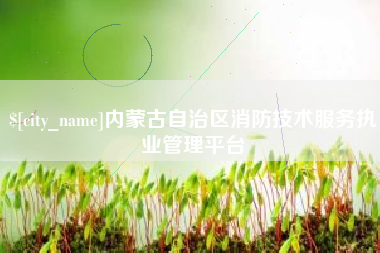 北海内蒙古自治区消防技术服务执业管理平台