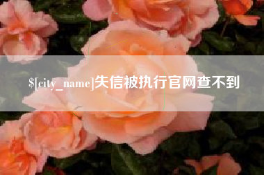 北海失信被执行官网查不到