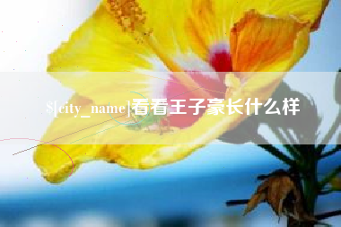 北海看看王子豪长什么样
