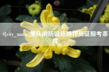 北海重庆消防设施操作员证报考条件