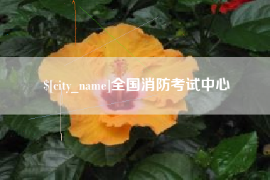 北海全国消防考试中心