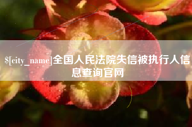 北海全国人民法院失信被执行人信息查询官网