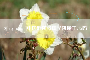 北海中国消防救援学院属于985吗