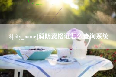 北海消防资格证怎么查询系统