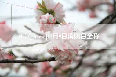 北海11月9日消防日全称