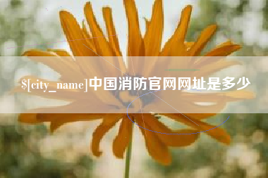北海中国消防官网网址是多少